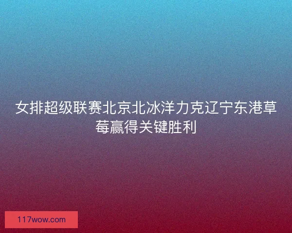 女排超级联赛北京北冰洋力克辽宁东港草莓赢得关键胜利