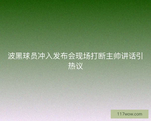 波黑球员冲入发布会现场打断主帅讲话引热议