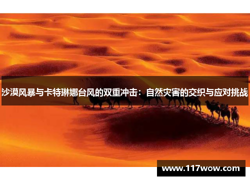 沙漠风暴与卡特琳娜台风的双重冲击：自然灾害的交织与应对挑战